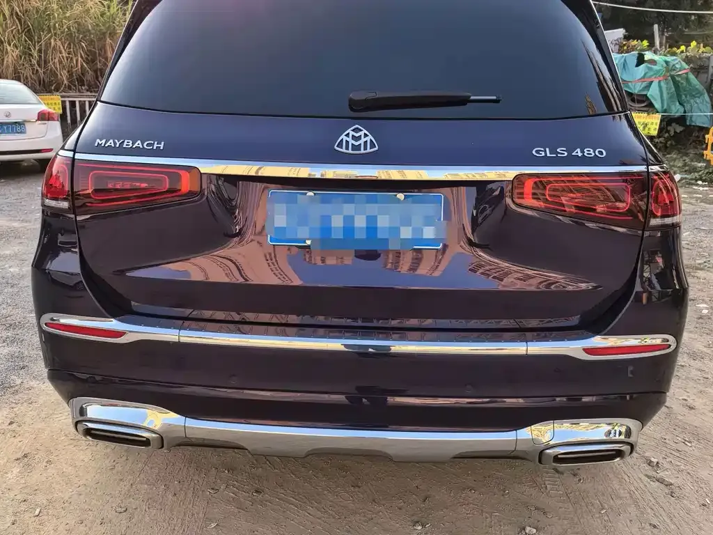 Mercedes-Benz GLS 2022 из CN, фото 8