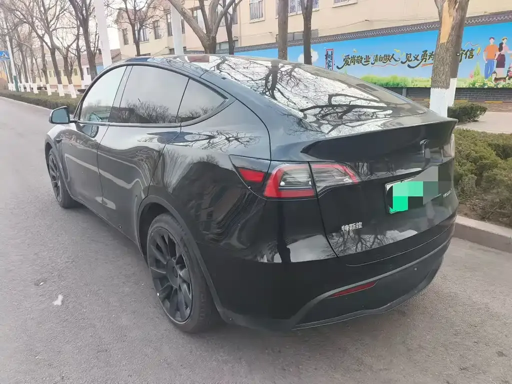 Tesla Model Y 2022 из CN, фото 3