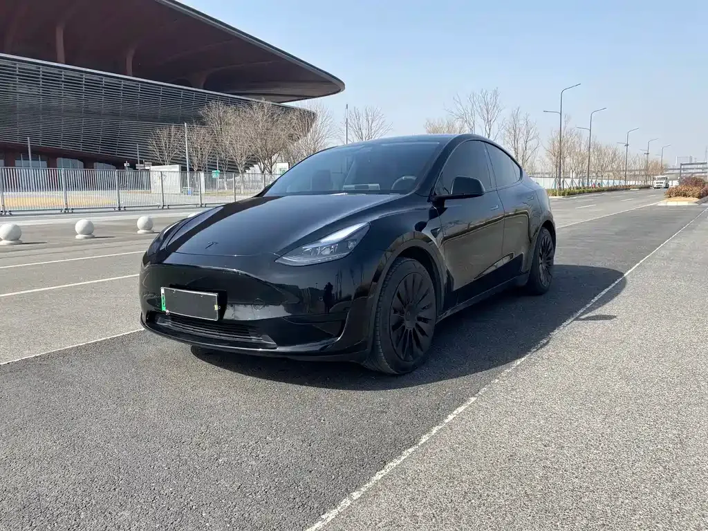 Tesla Model Y 2022 из CN, фото 1