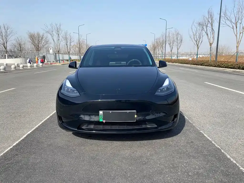 Tesla Model Y 2022 из CN, фото 9