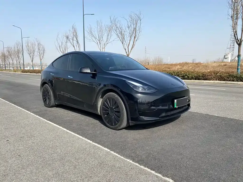Tesla Model Y 2022 из CN, фото 6