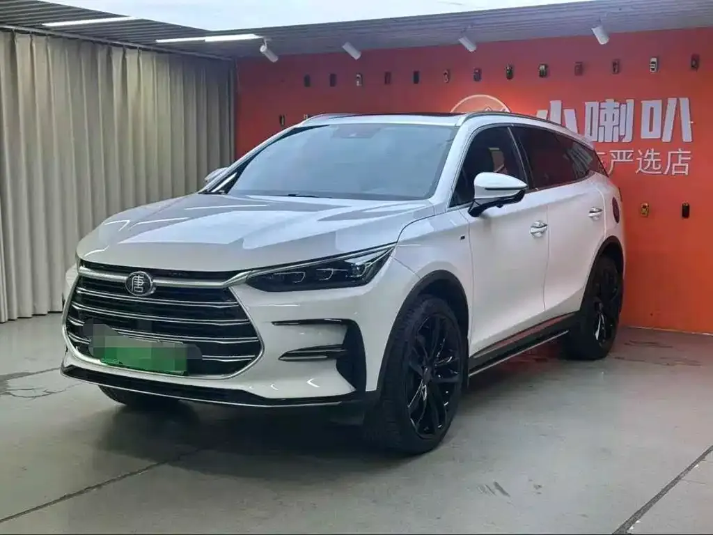 BYD Tang New Energy — фото 1