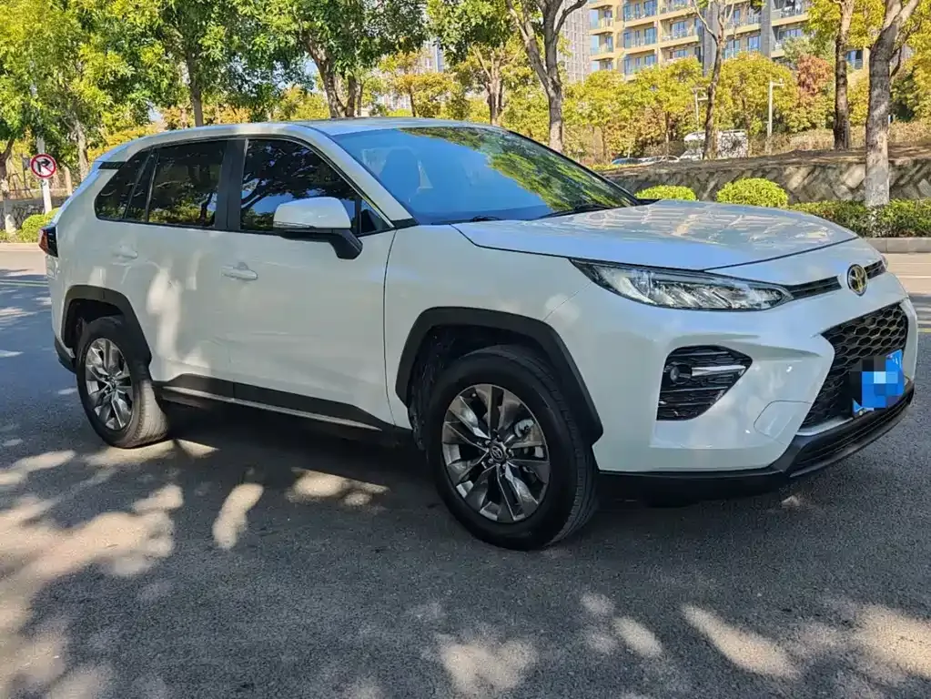 Toyota Wildlander 2021 из CN, фото 9