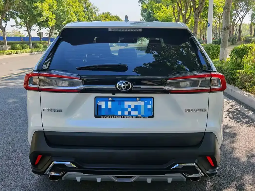 Toyota Wildlander 2021 из CN, фото 3
