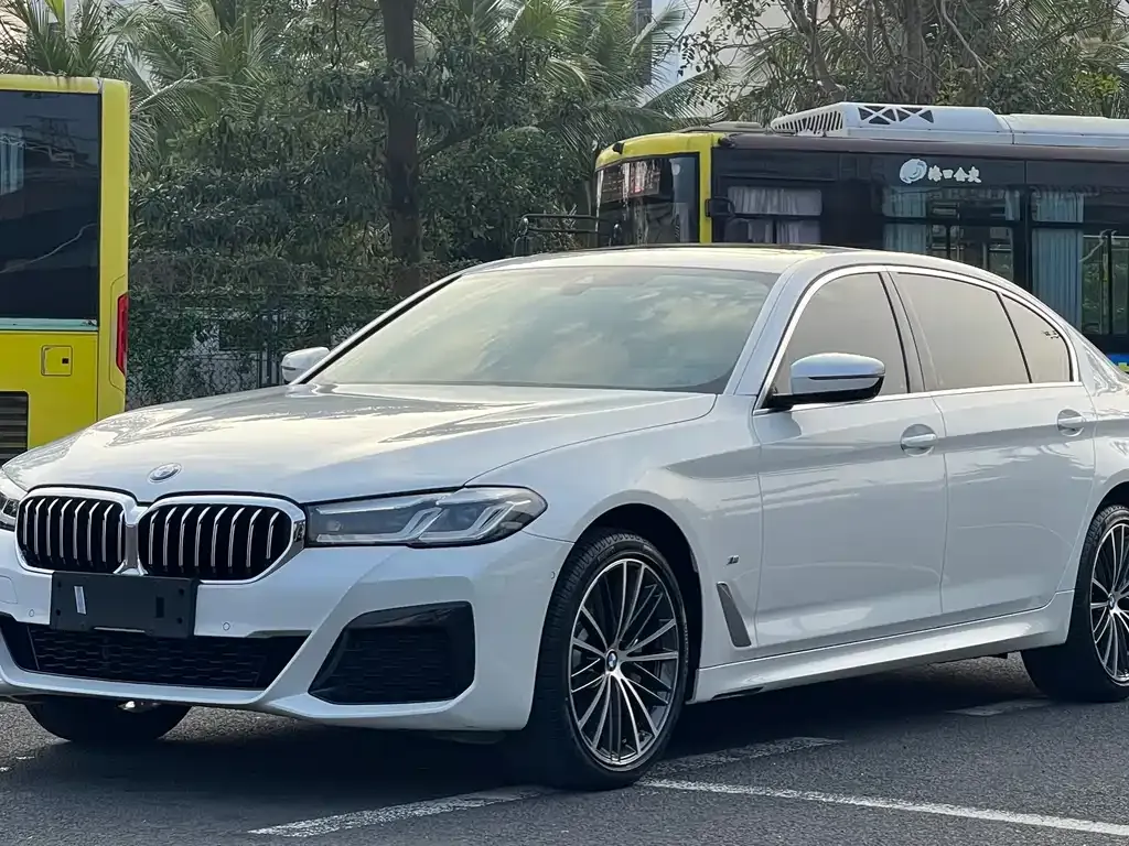 BMW 5 Series 2023 из CN, фото 1