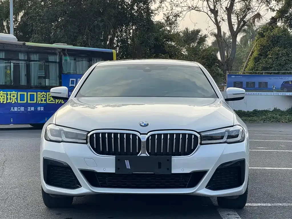 BMW 5 Series 2023 из CN, фото 8