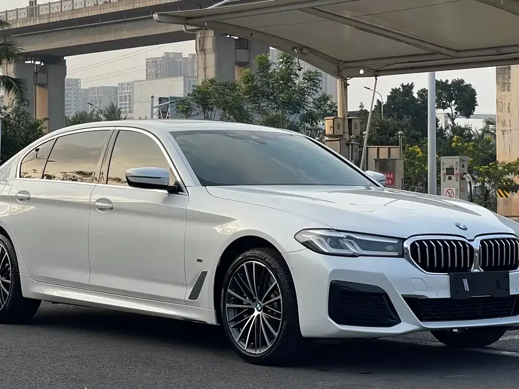 BMW 5 Series 2023 из CN, фото 4