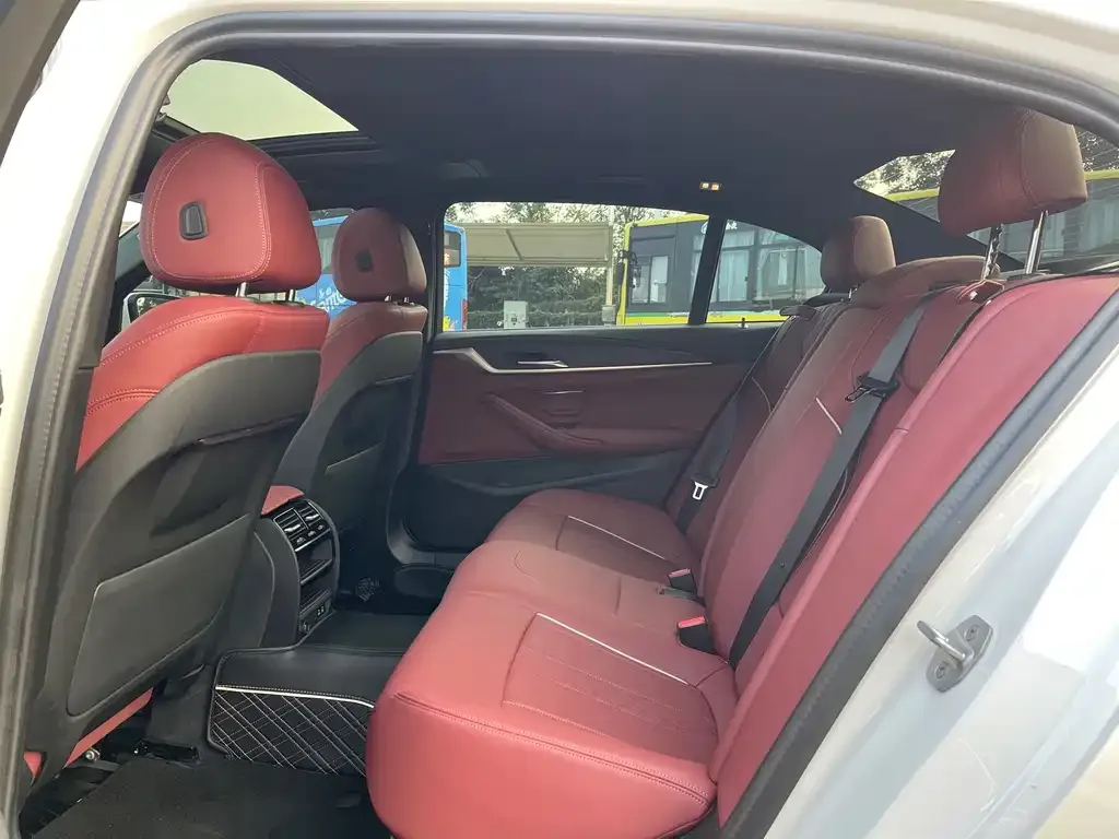 BMW 5 Series 2023 из CN, фото 9