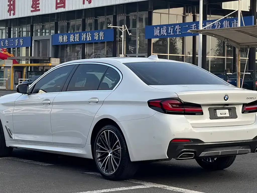 BMW 5 Series 2023 из CN, фото 6