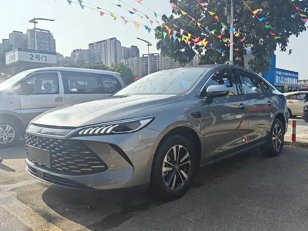 BYD Qin PLUS 2025 из CN, фото 1