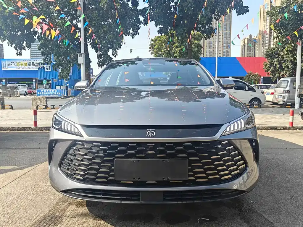 BYD Qin PLUS 2025 из CN, фото 2