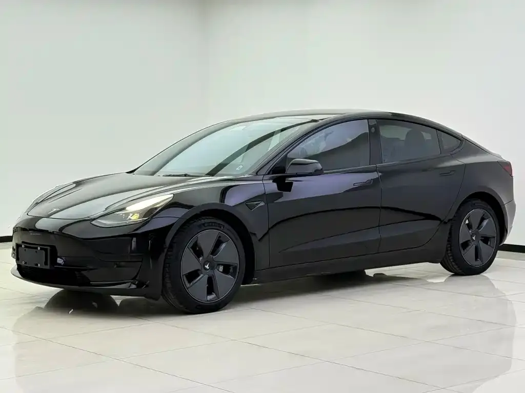 Tesla Model 3 2021 из CN, фото 1