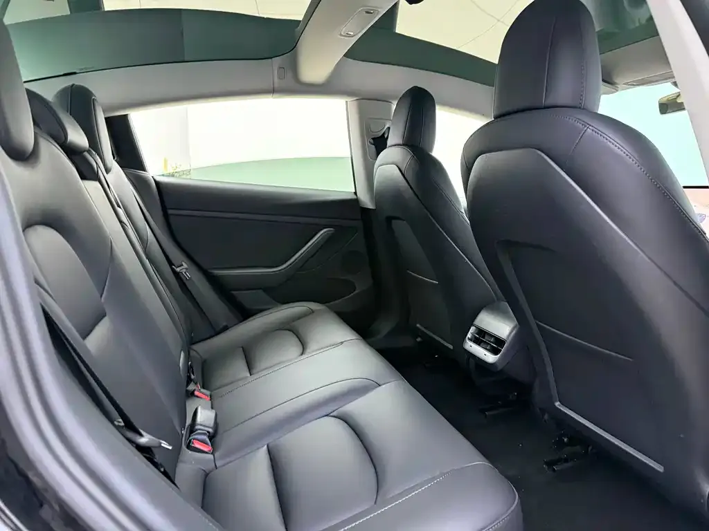 Tesla Model 3 2021 из CN, фото 6