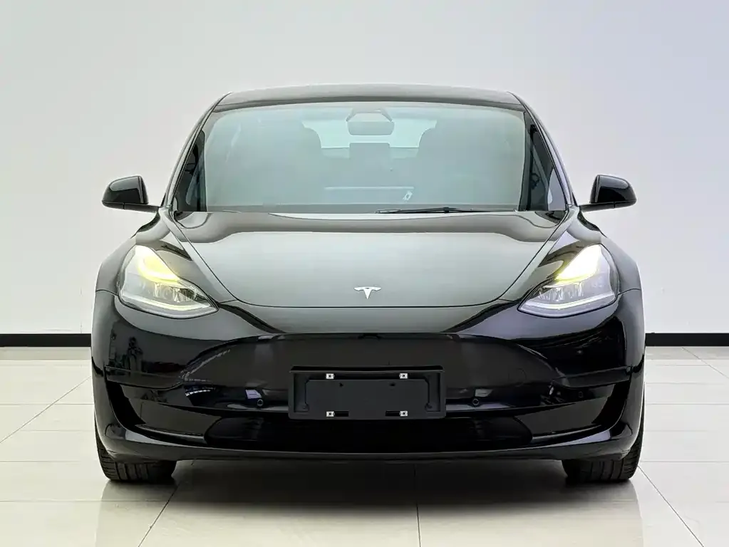 Tesla Model 3 2021 из CN, фото 2