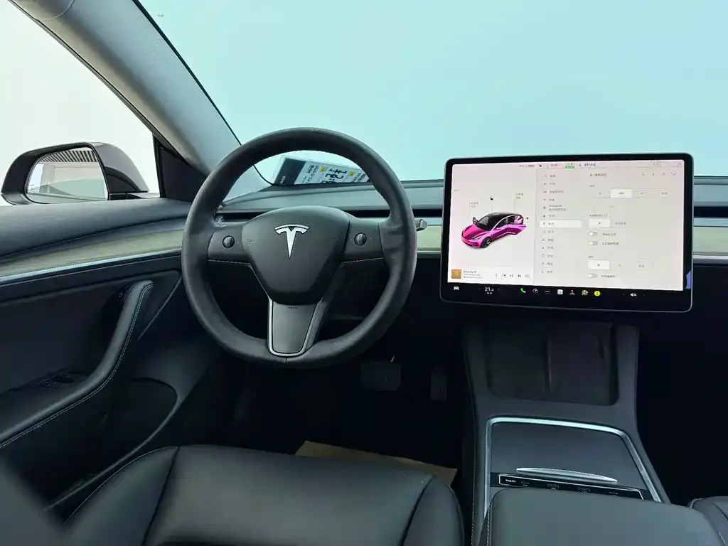 Tesla Model 3 2021 из CN, фото 8
