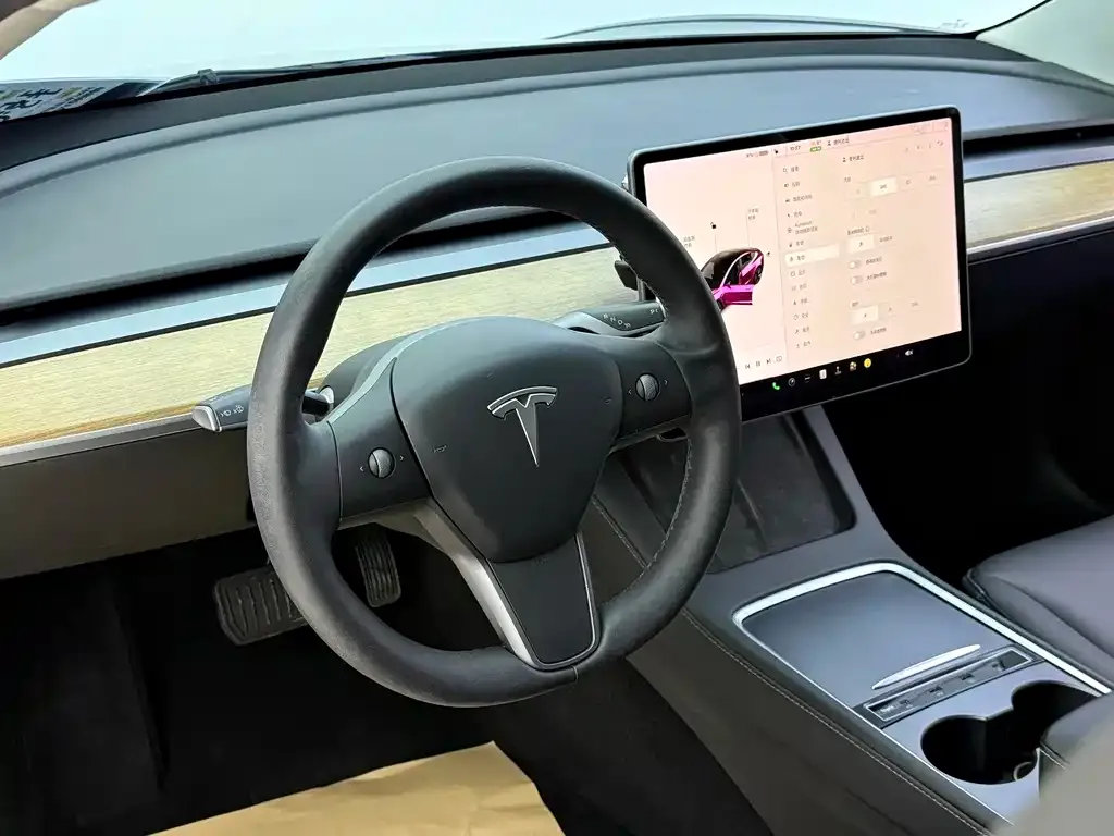 Tesla Model 3 2021 из CN, фото 10