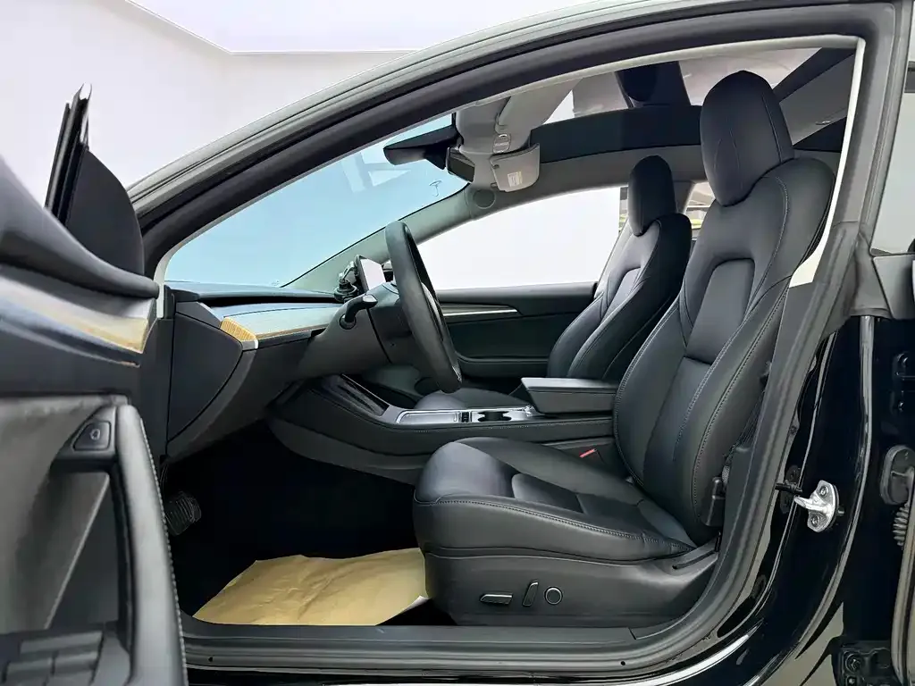 Tesla Model 3 2021 из CN, фото 9