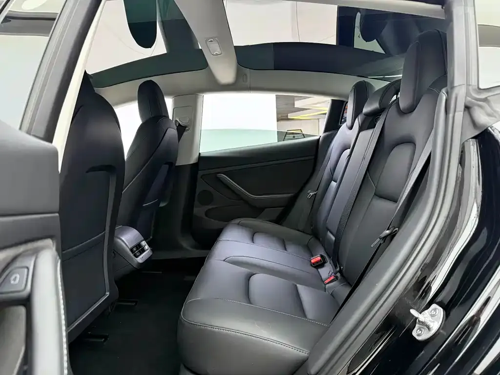 Tesla Model 3 2021 из CN, фото 7