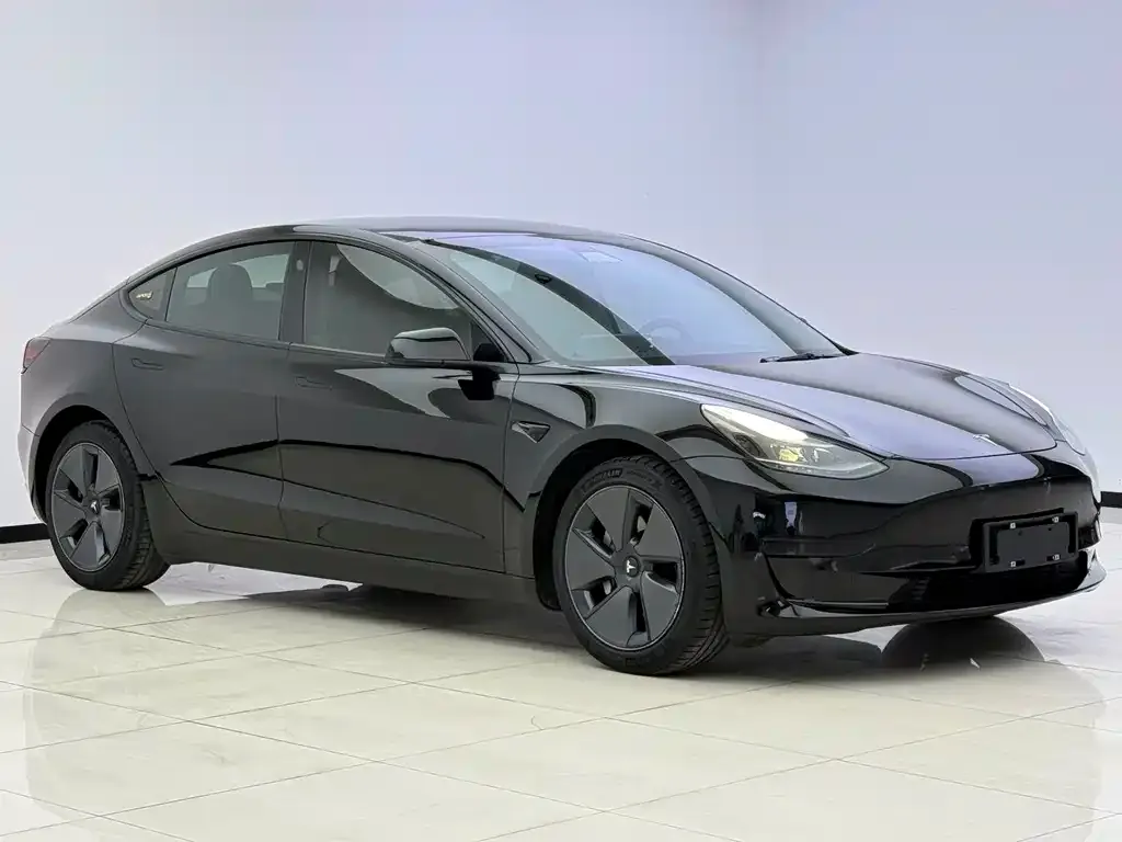 Tesla Model 3 2021 из CN, фото 3