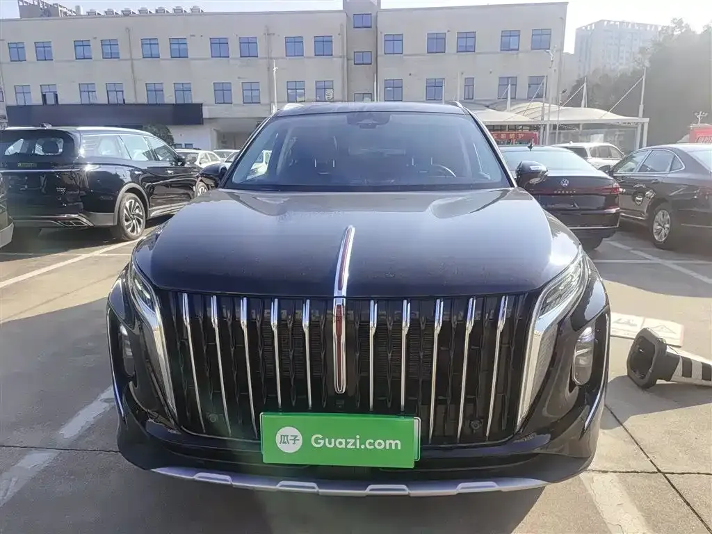 Hongqi HS7 PHEV 2024 из CN, фото 10