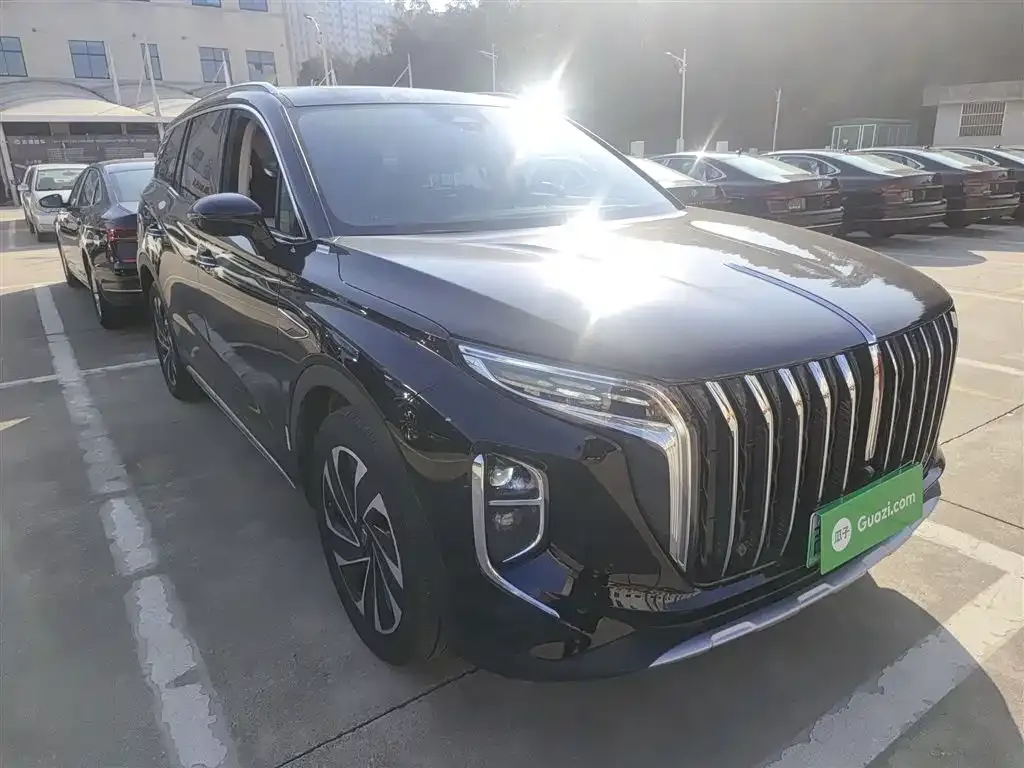 Hongqi HS7 PHEV 2024 из CN, фото 2