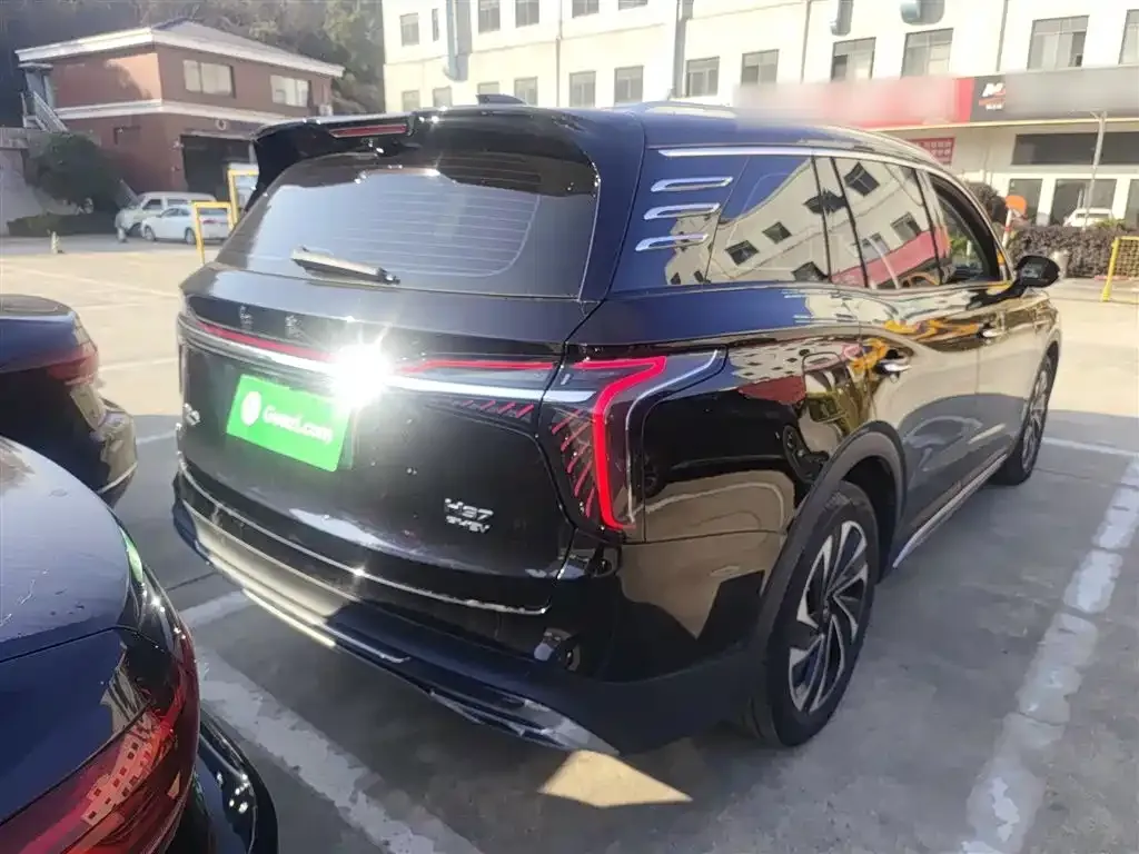Hongqi HS7 PHEV 2024 из CN, фото 8