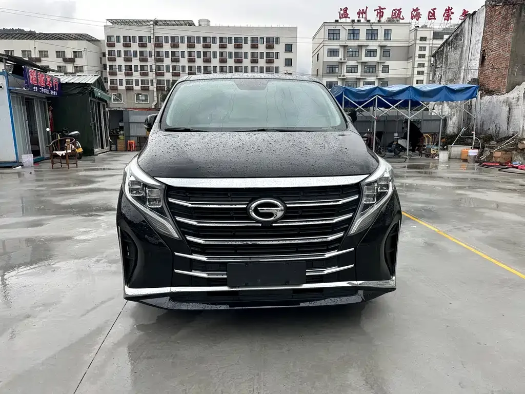GAC Motor Trumpchi M8 2022 из CN, фото 8