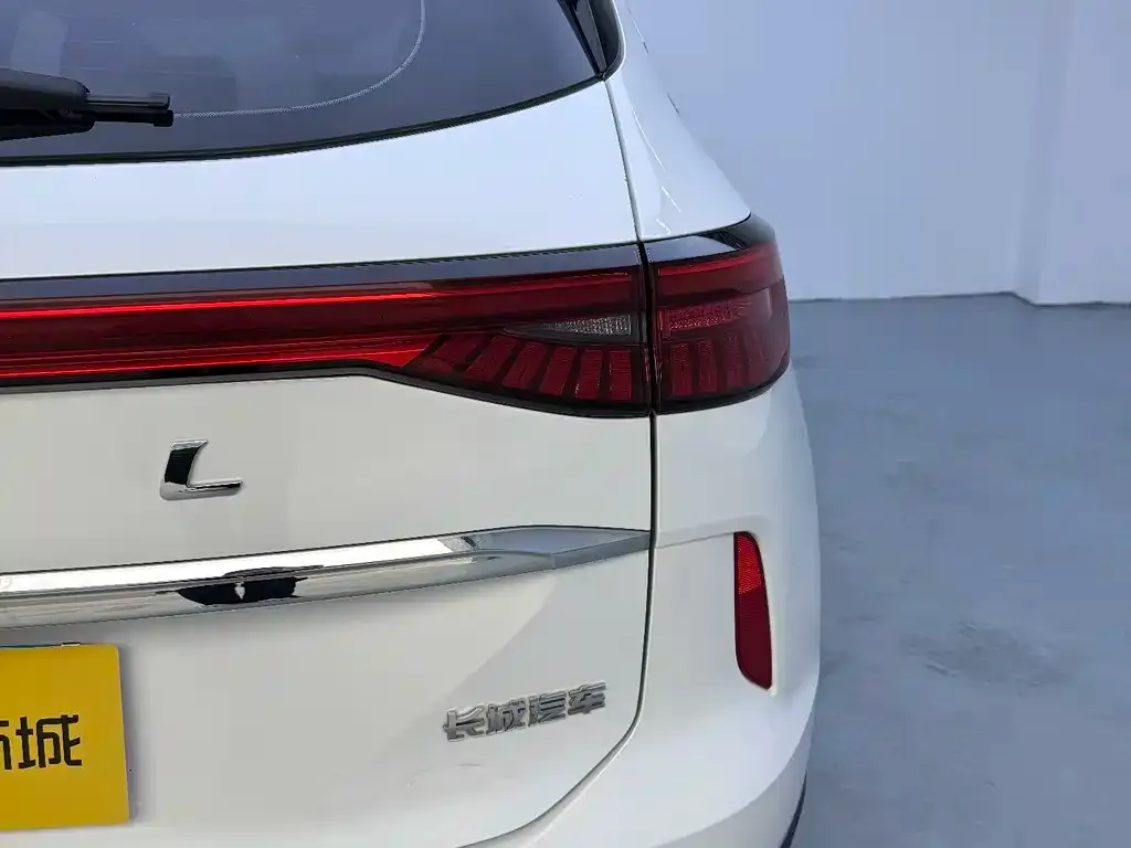 Haval H6 2023 из CN, фото 7