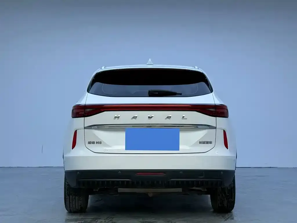 Haval H6 2023 из CN, фото 5