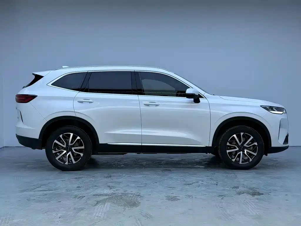 Haval H6 2023 из CN, фото 10