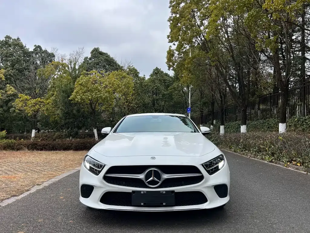 Mercedes-Benz CLS 2021 из CN, фото 7