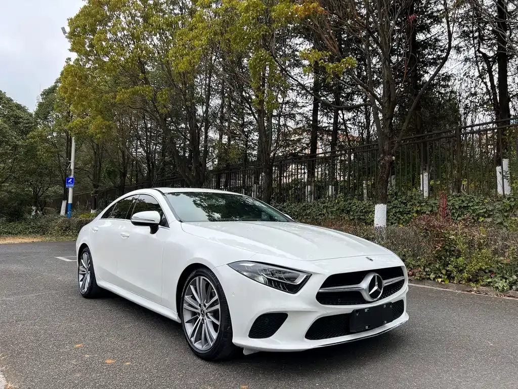 Mercedes-Benz CLS 2021 из CN, фото 8