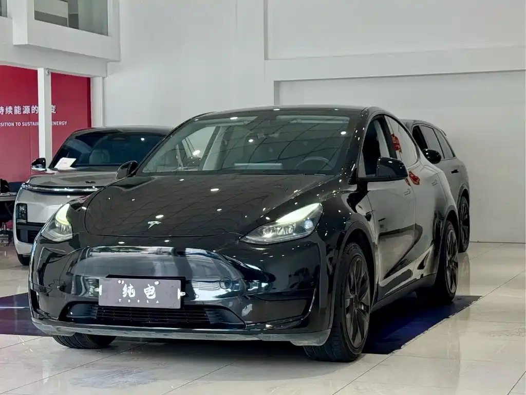Tesla Model Y 2022 из CN, фото 1