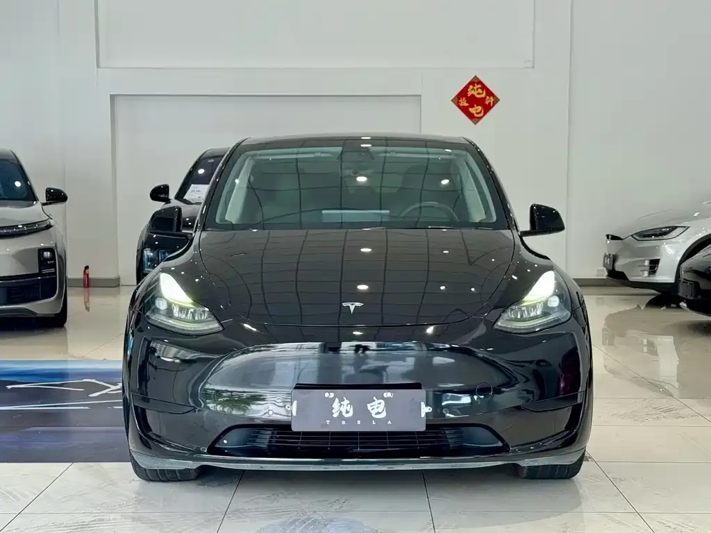 Tesla Model Y 2022 из CN, фото 7