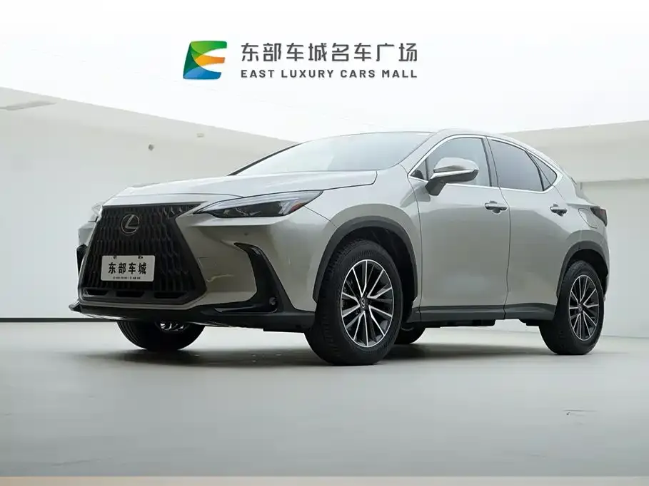 Lexus NX 2023 из CN, фото 1