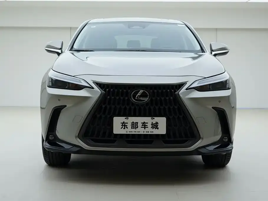 Lexus NX 2023 из CN, фото 5