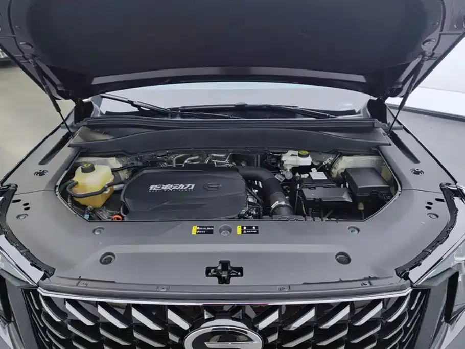 GAC Motor Trumpchi GS8 2024 из CN, фото 8