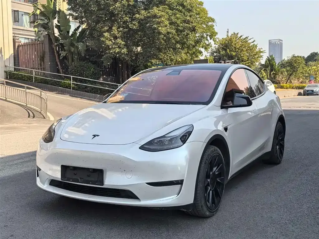 Tesla Model Y 2021 из CN, фото 1