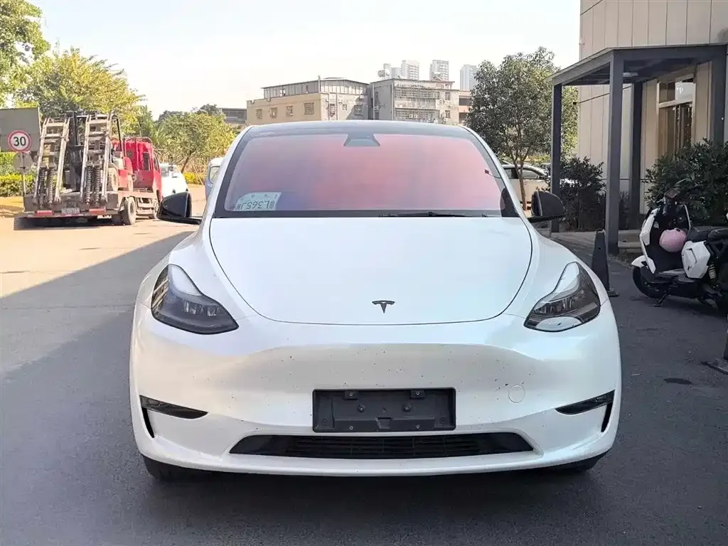Tesla Model Y 2021 из CN, фото 6