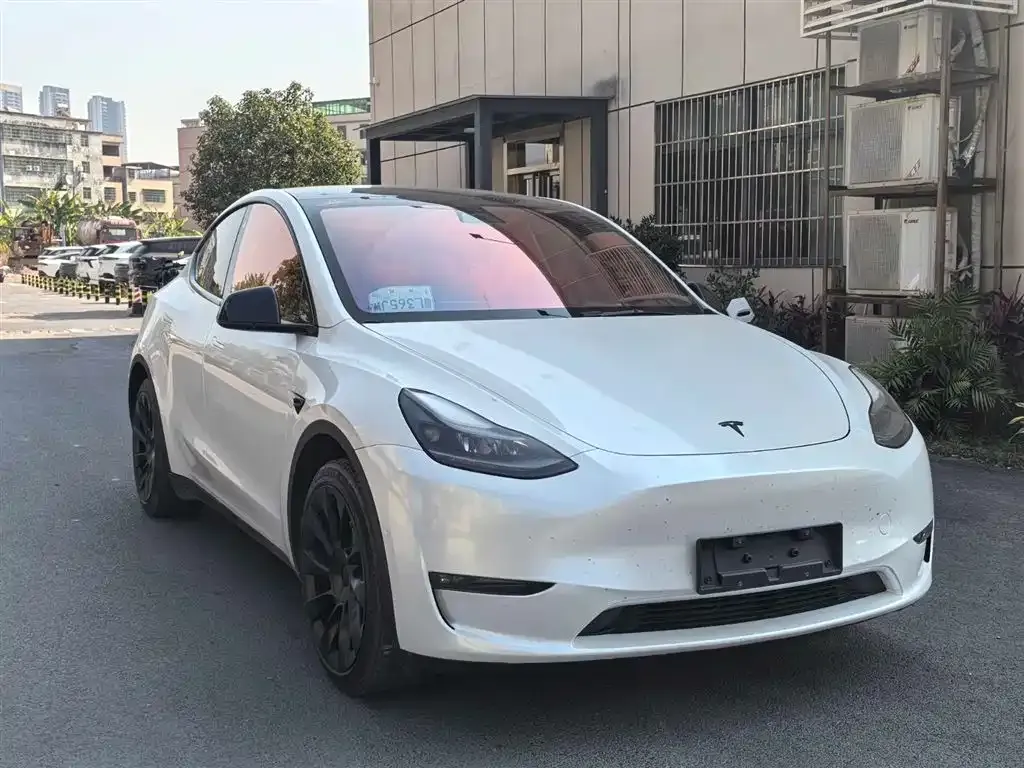Tesla Model Y 2021 из CN, фото 8