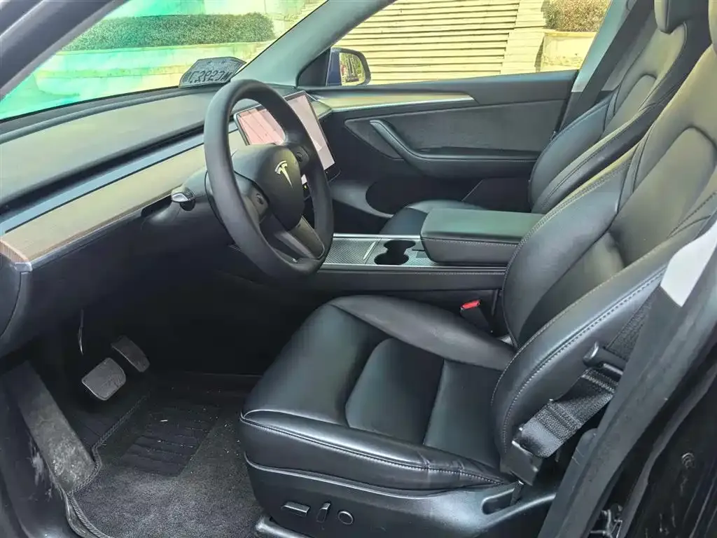 Tesla Model Y 2021 из CN, фото 3