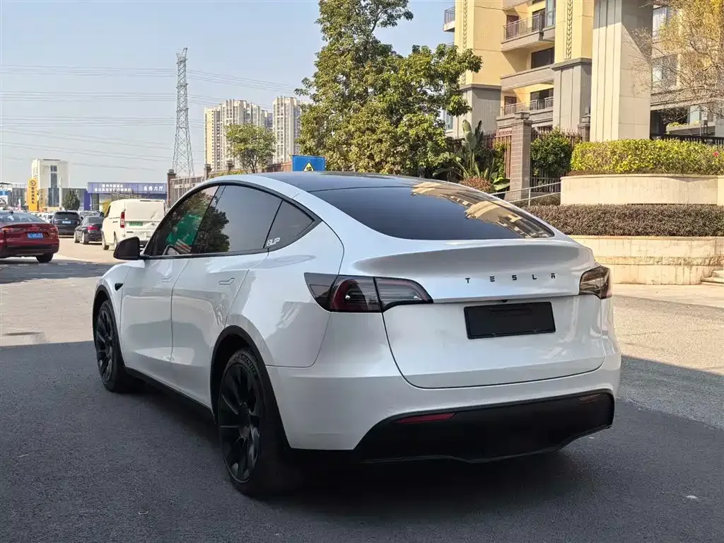 Tesla Model Y 2021 из CN, фото 9