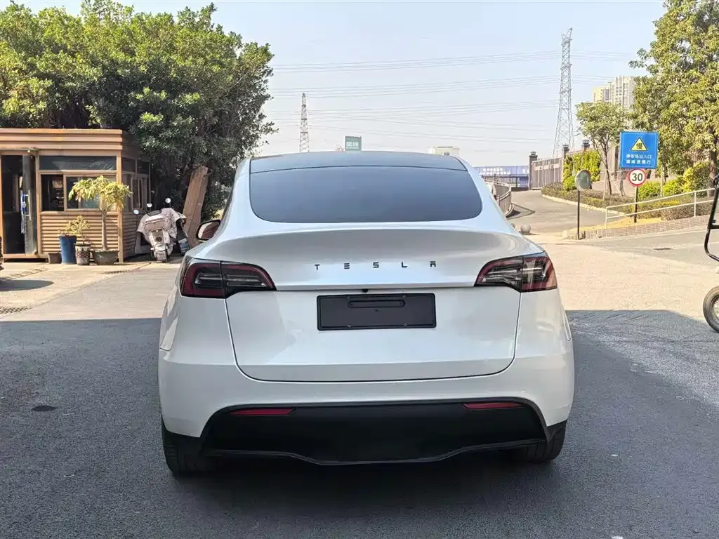 Tesla Model Y 2021 из CN, фото 4
