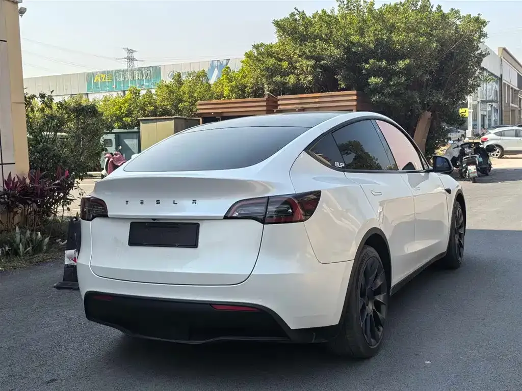 Tesla Model Y 2021 из CN, фото 5