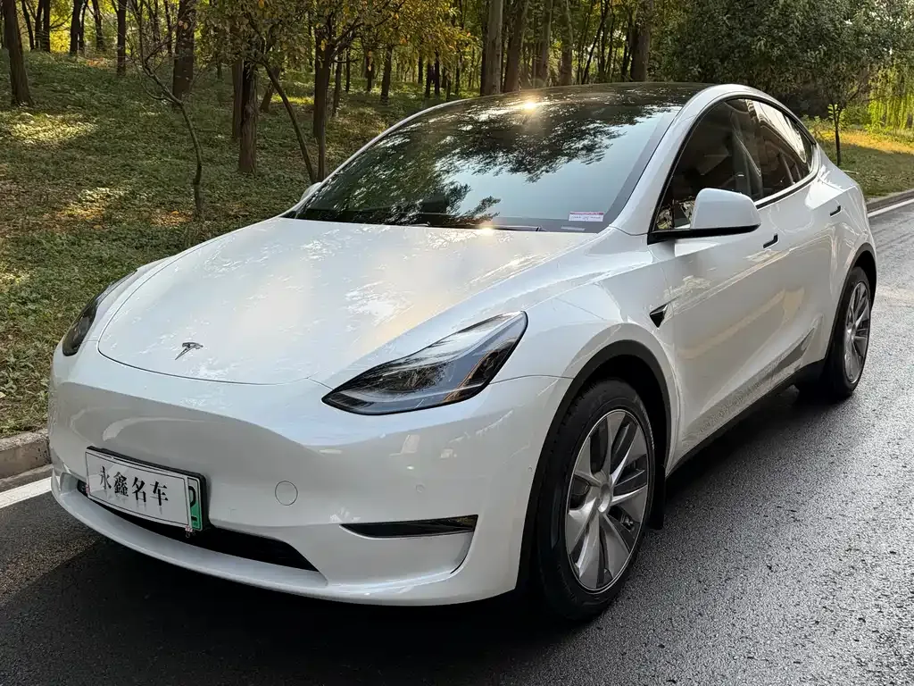 Tesla Model Y 2021 из CN, фото 1