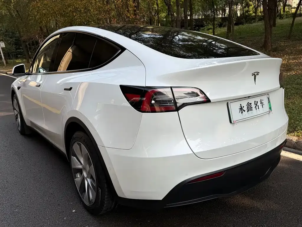 Tesla Model Y 2021 из CN, фото 10