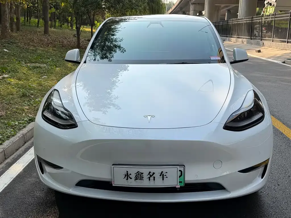 Tesla Model Y 2021 из CN, фото 7