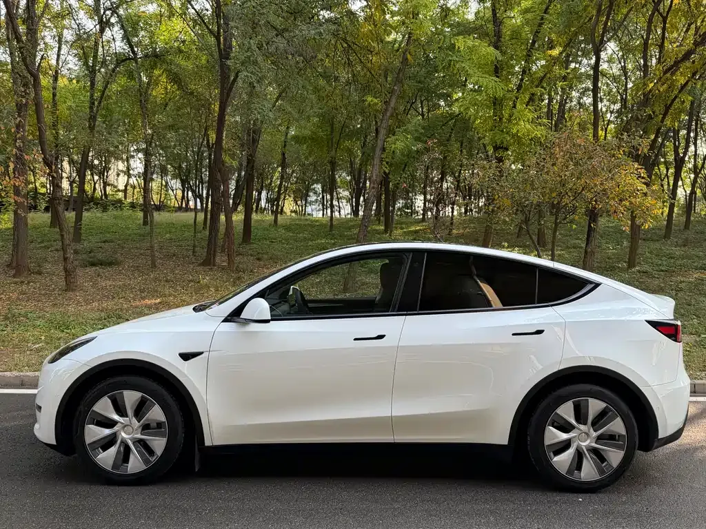 Tesla Model Y 2021 из CN, фото 8