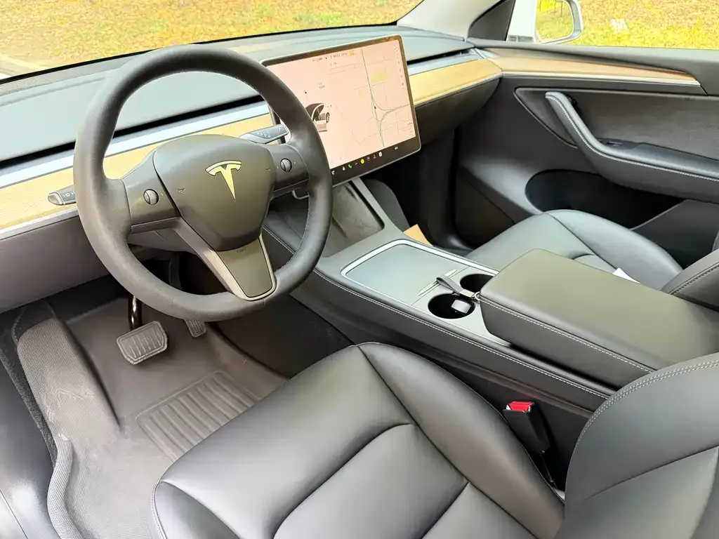 Tesla Model Y 2021 из CN, фото 2