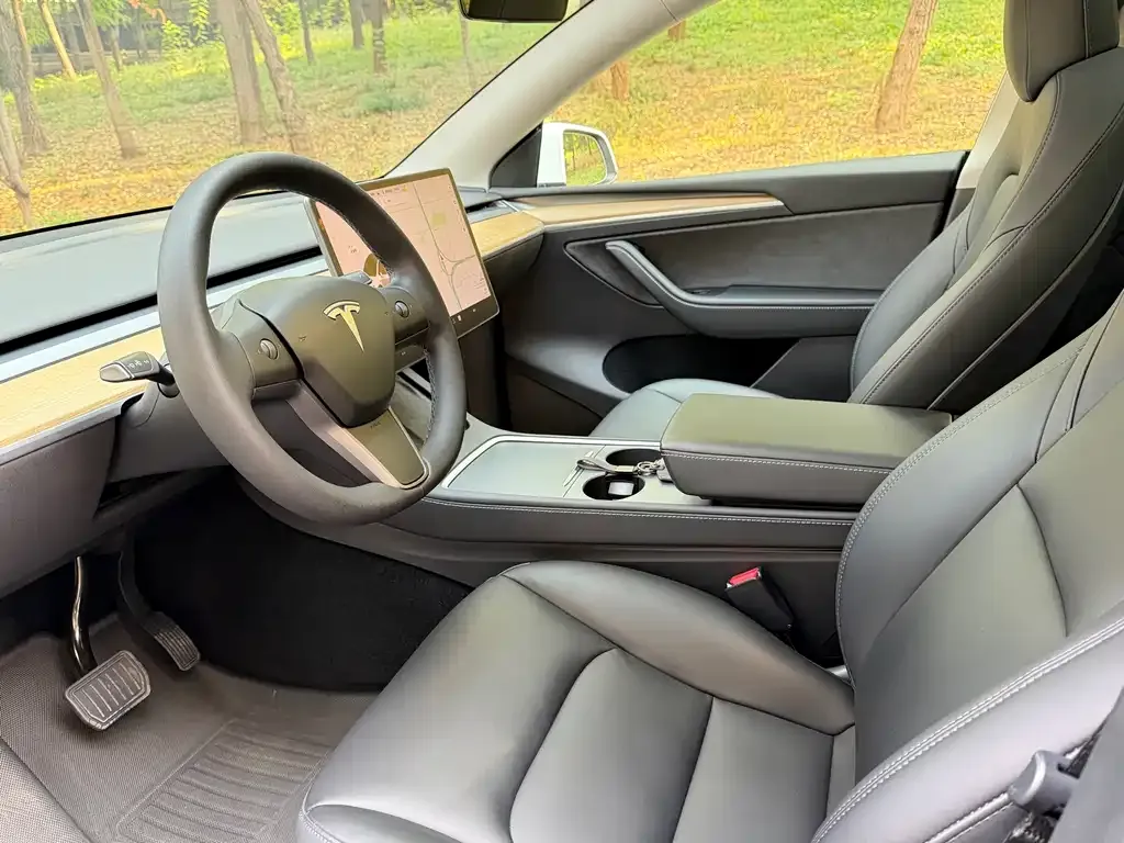 Tesla Model Y 2021 из CN, фото 4